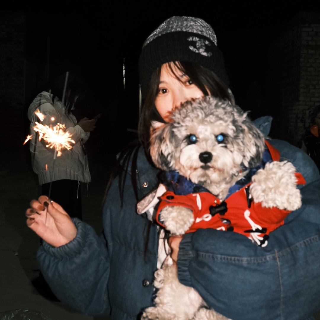 发财是只雪纳瑞