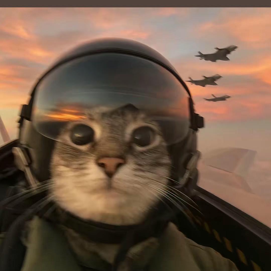 一只🐟（见过于适且中亲签版）