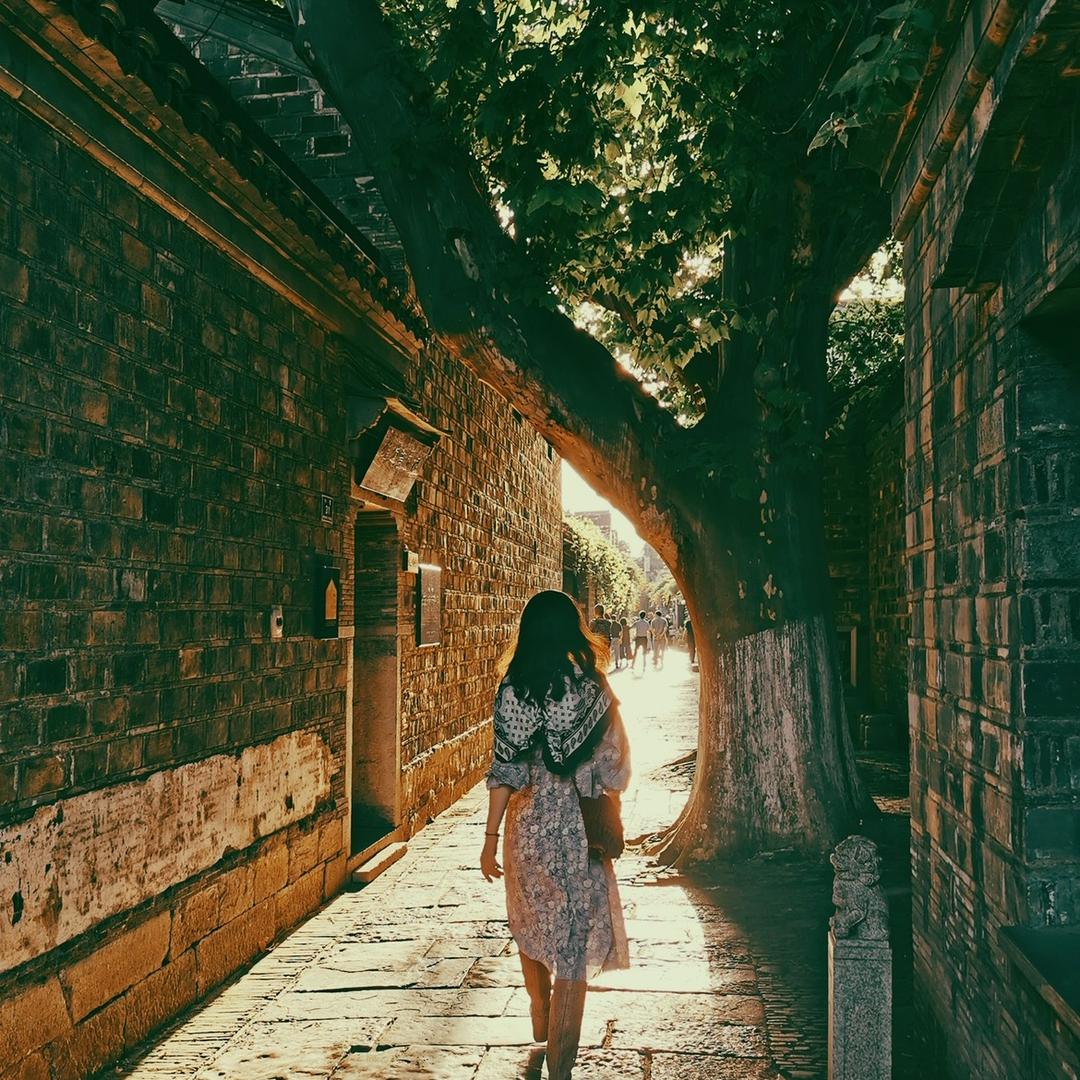 叶子糖77