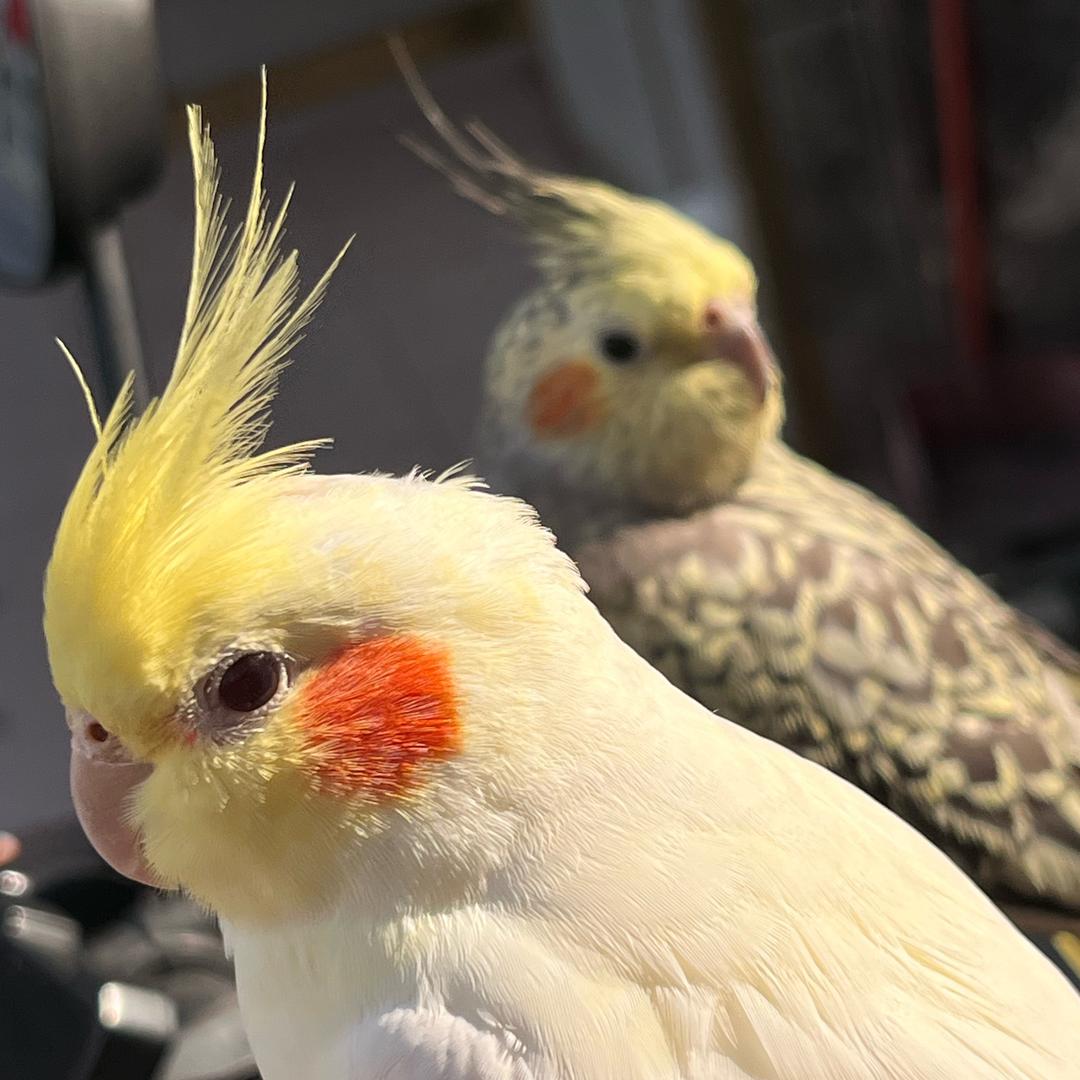 🎊独角兽🦄🌙