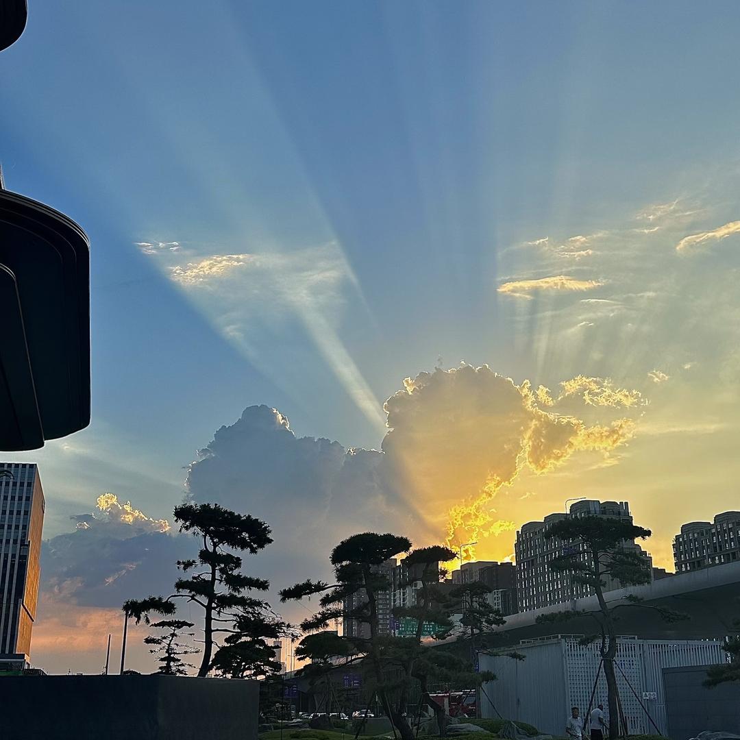 晓曦