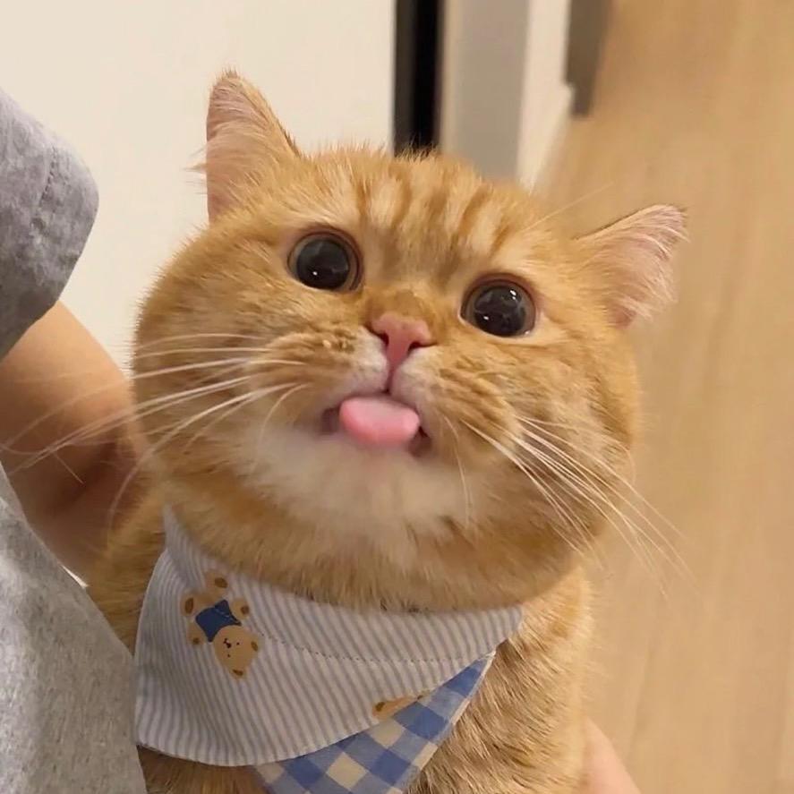 小游戏人生感悟专家