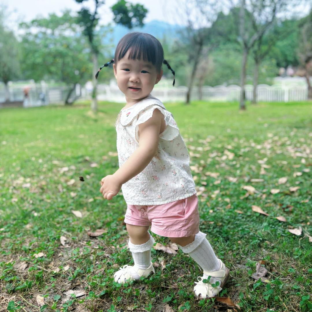 菲桐寻常