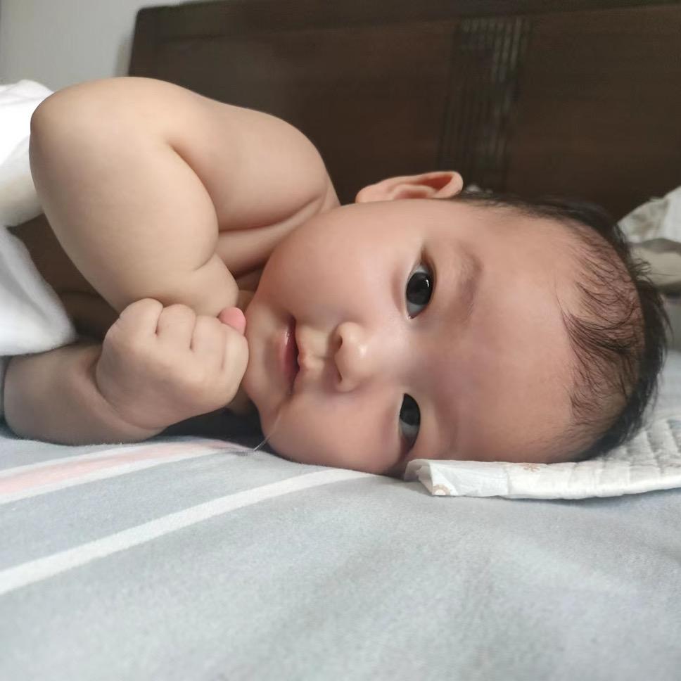 棣一