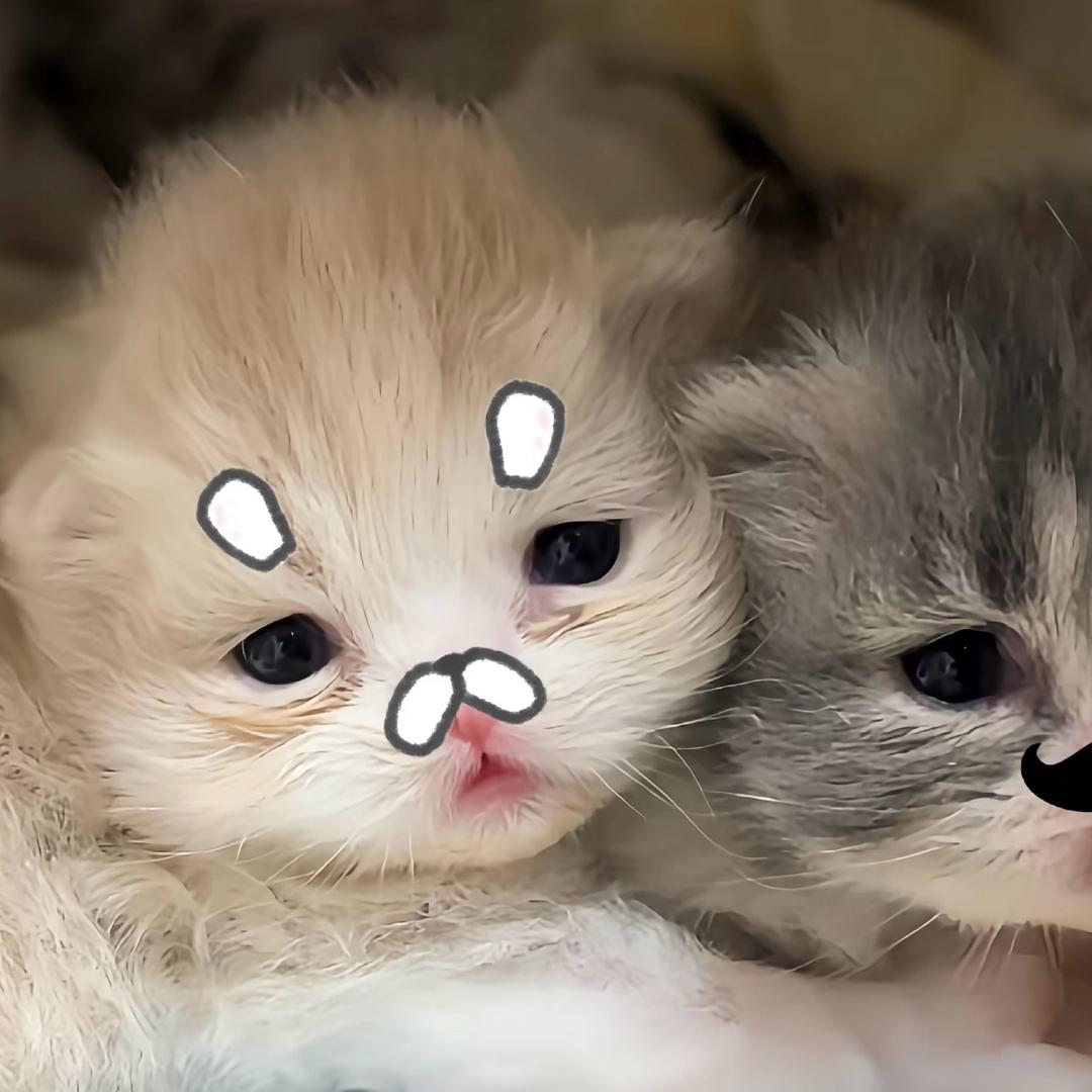 我不想总伤心