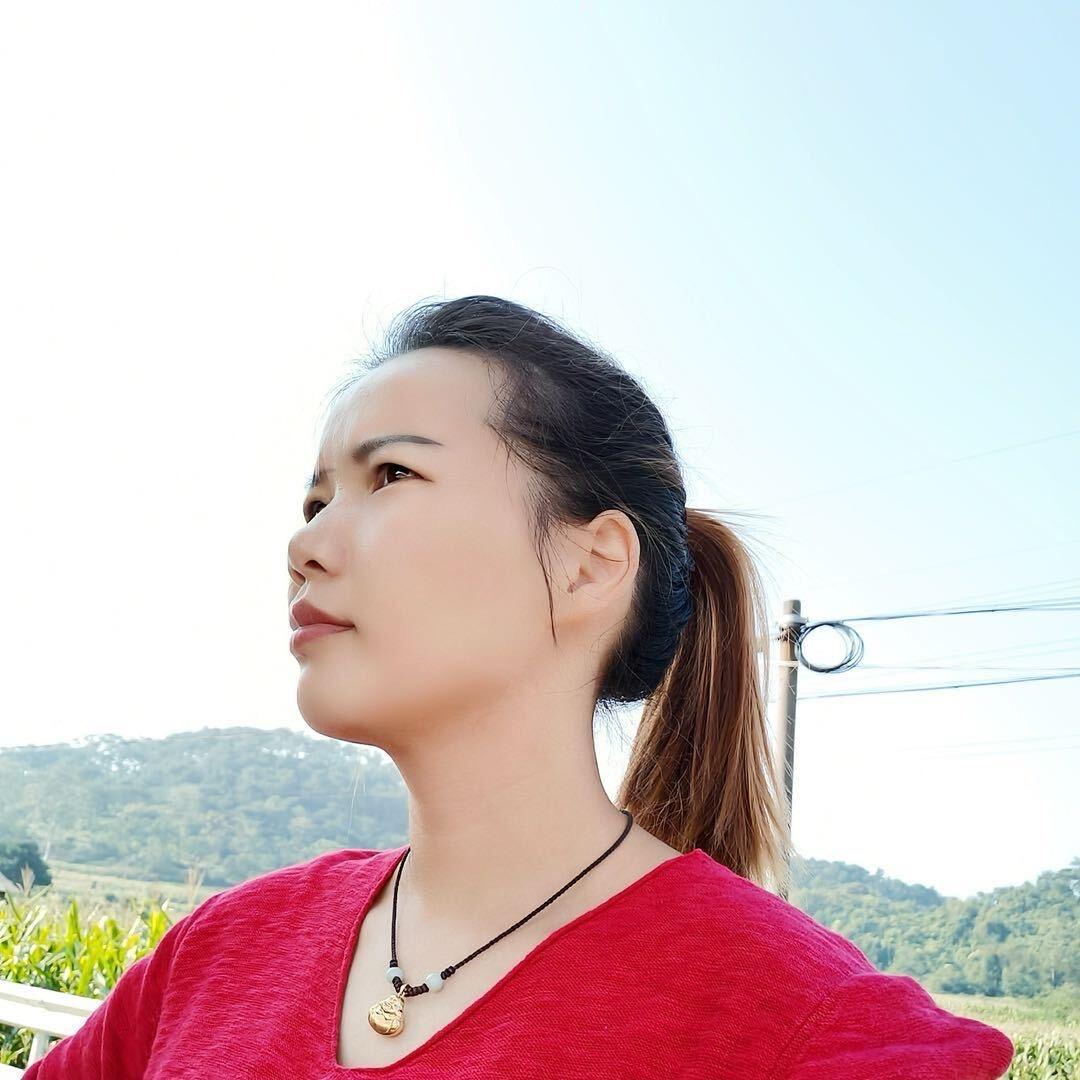 平果刨板燕子姐