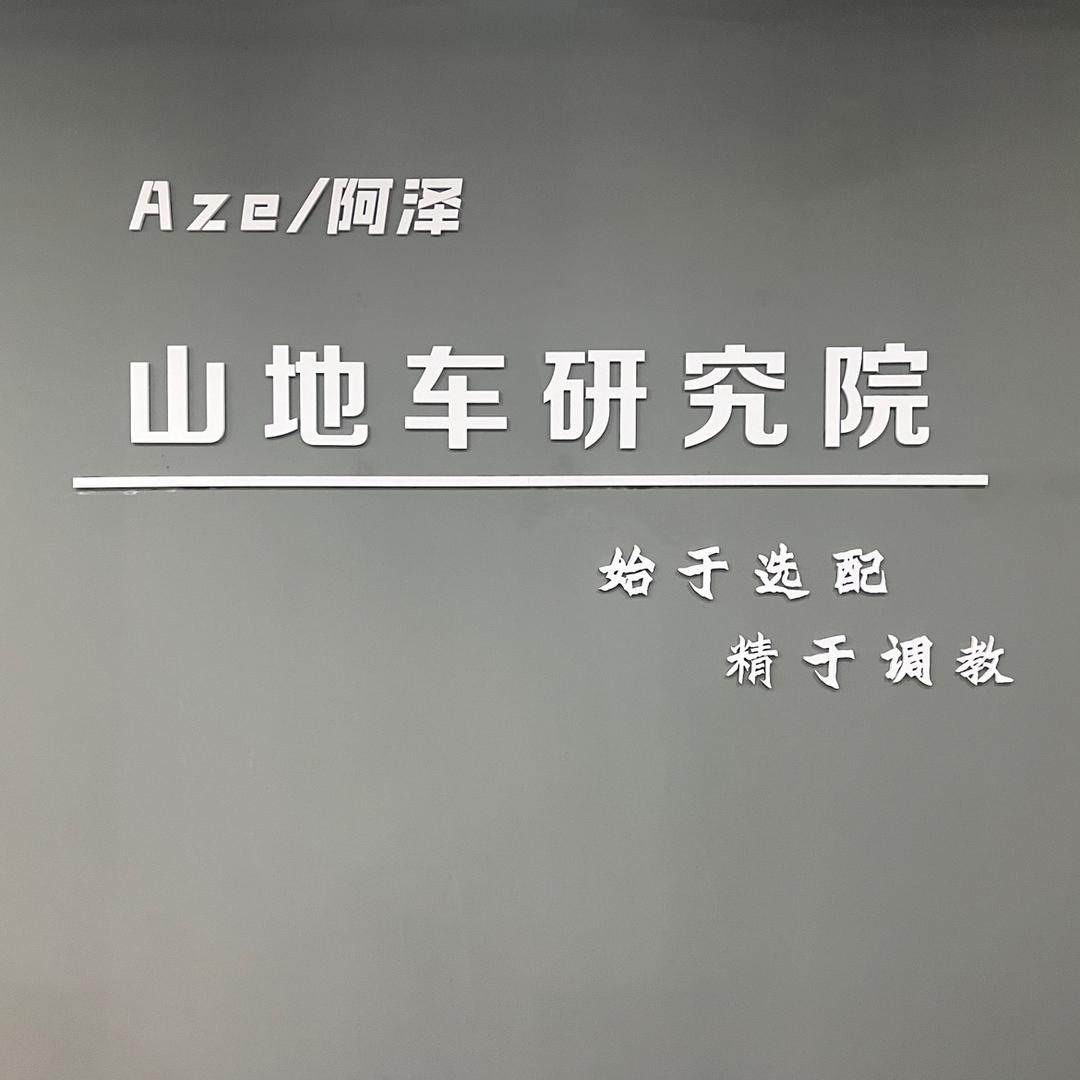 阿泽山地车