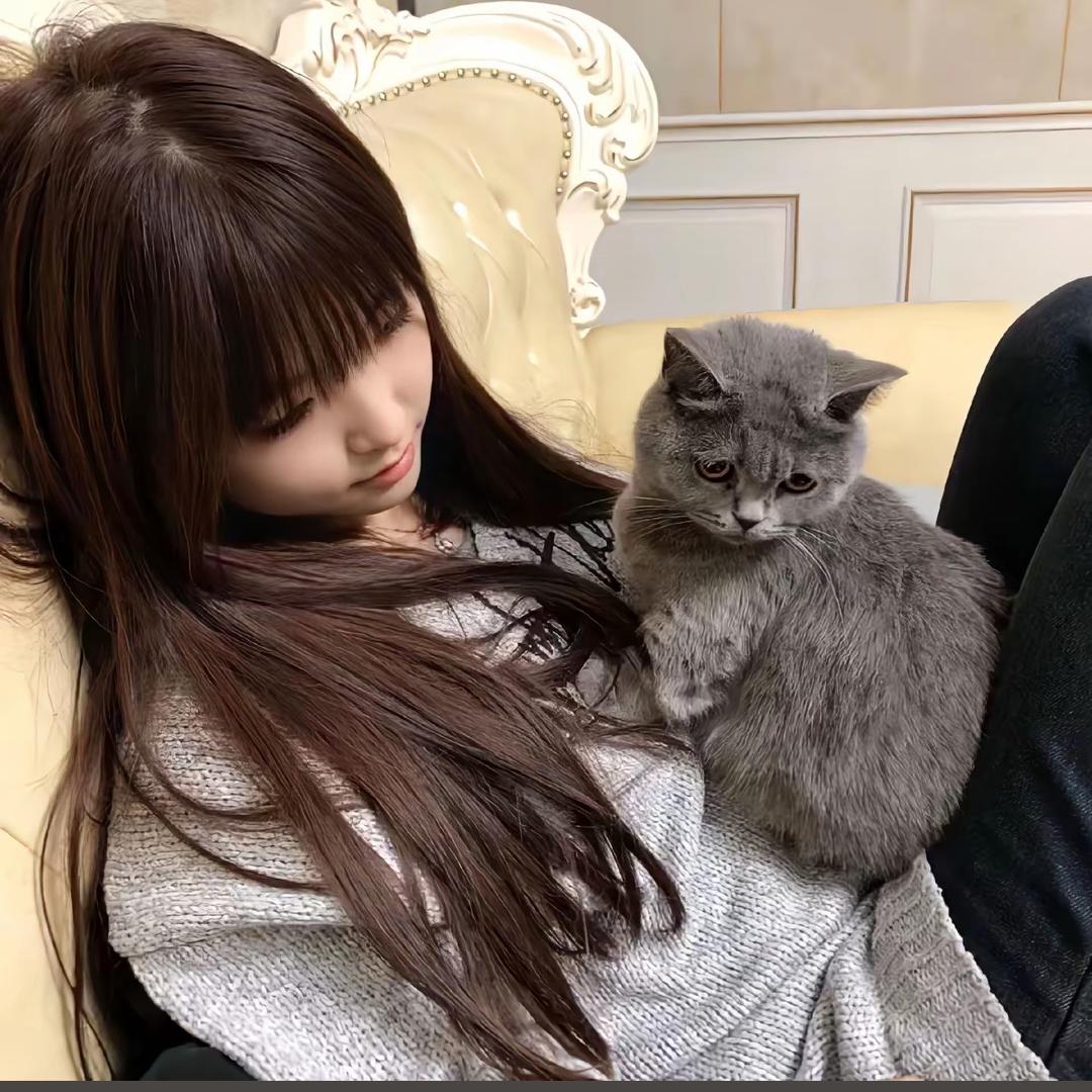 微醺小猫