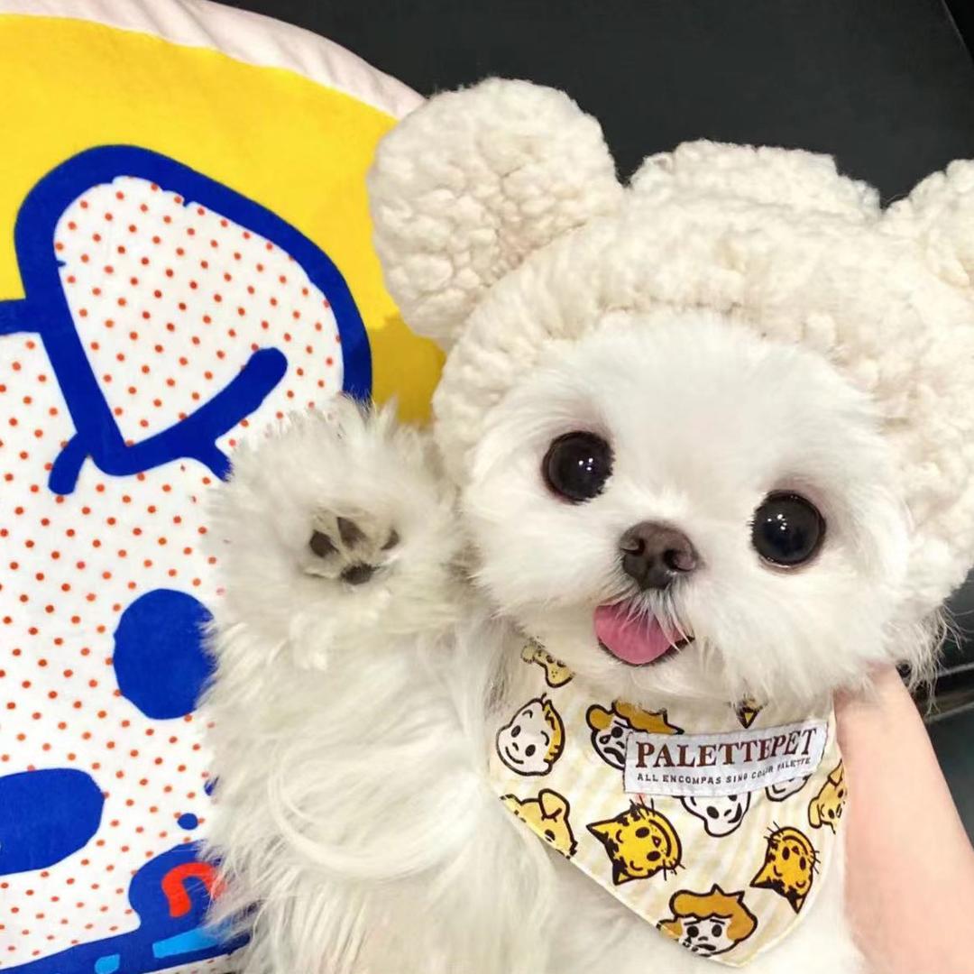 我请问呢¿