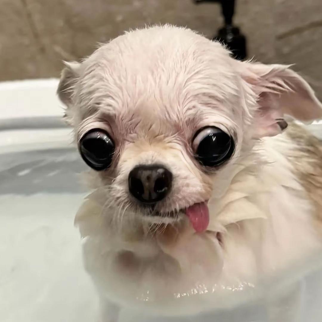 qqqqq_