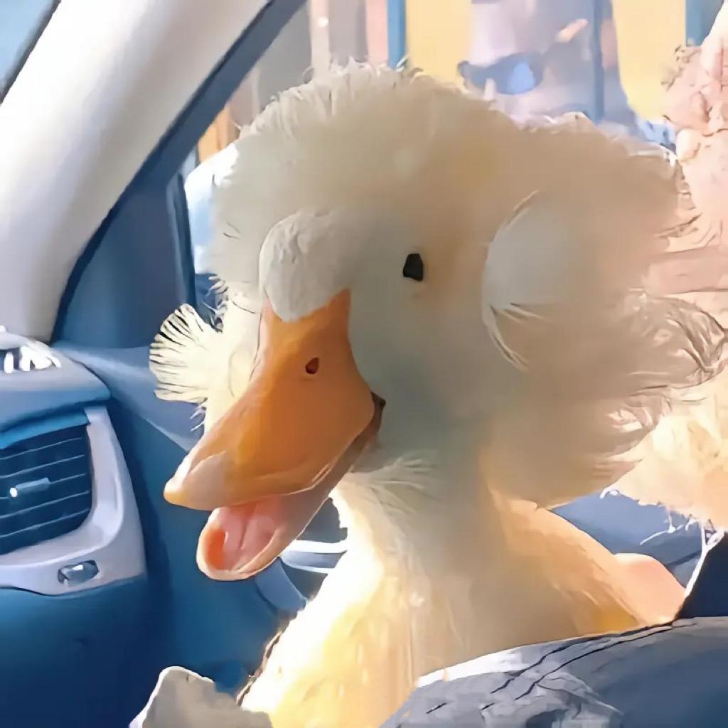 Sɪʟᴇɴᴛ ♚