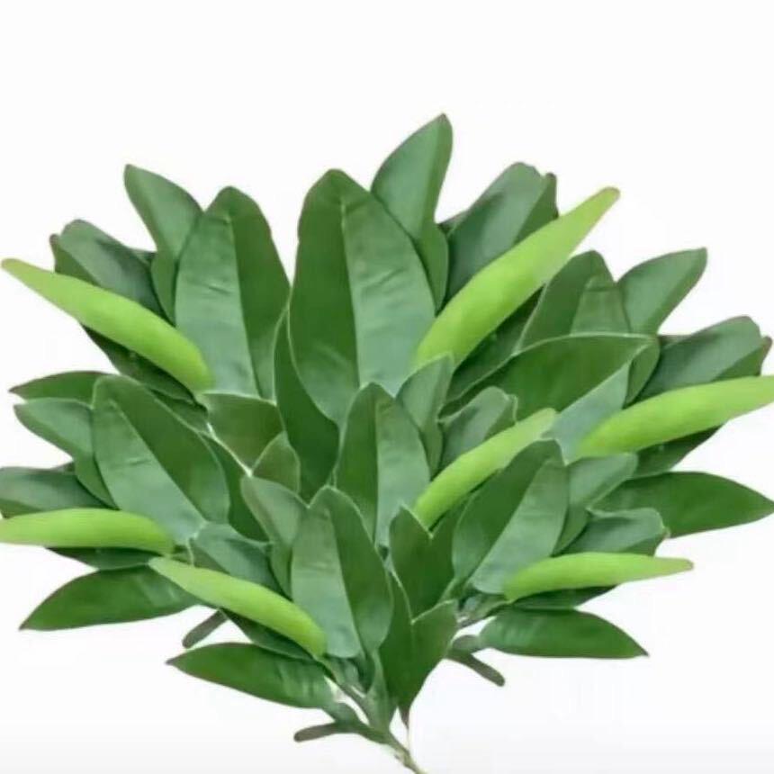 江小如🦊（老公一个逸