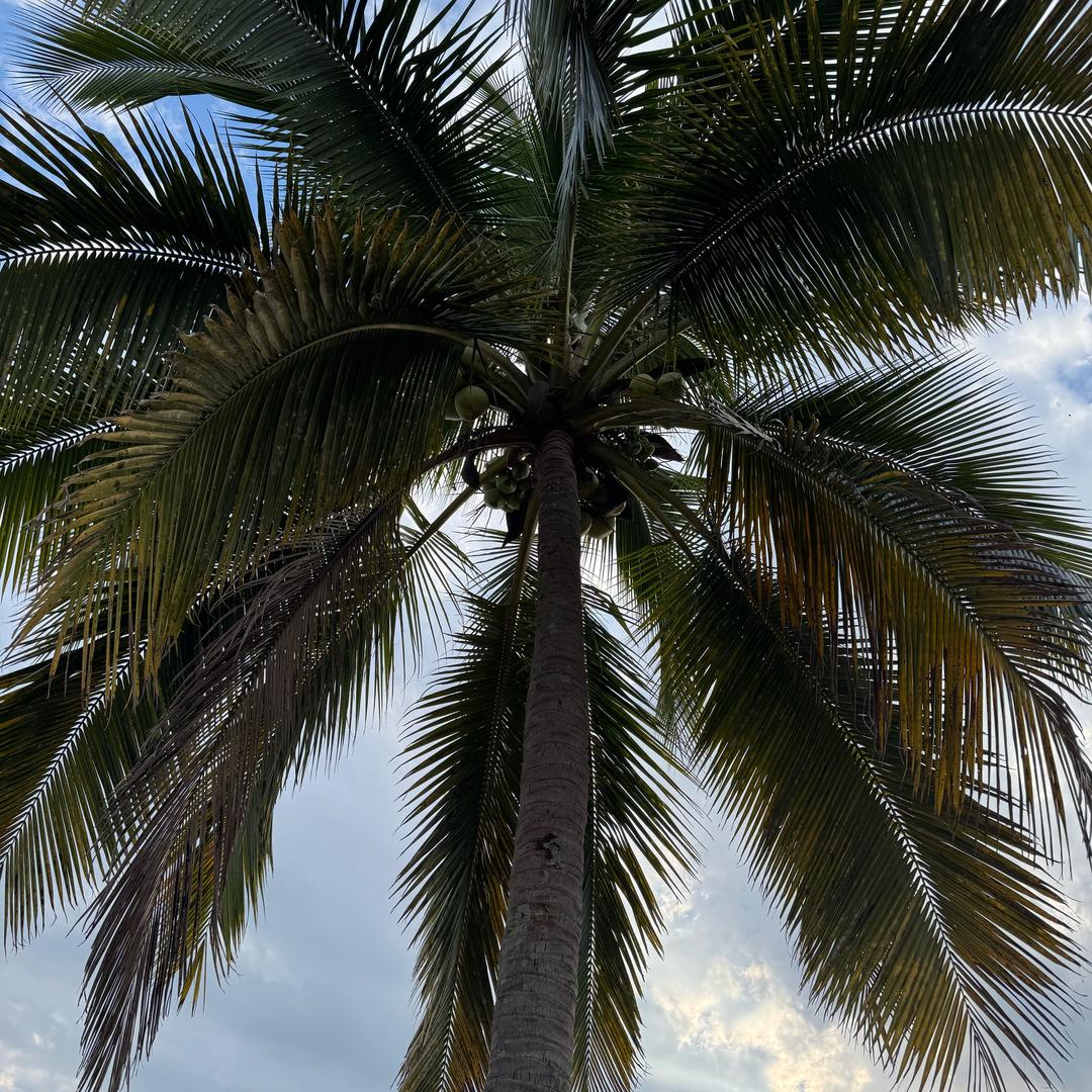 泽泽呀