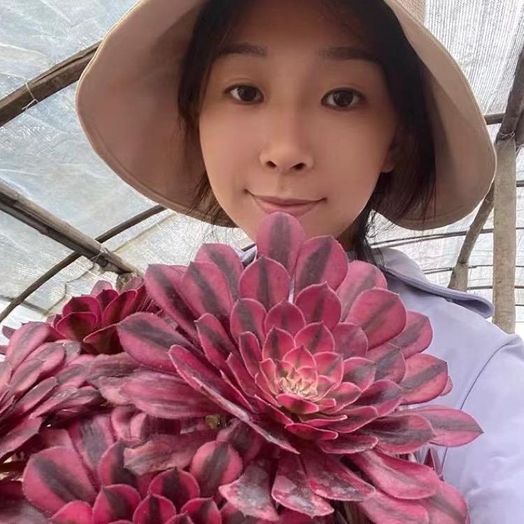 晴天法师多肉园艺