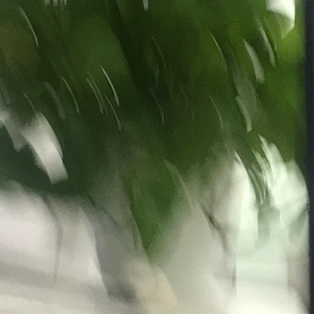 卢贝备