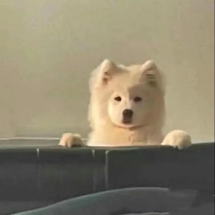习习！