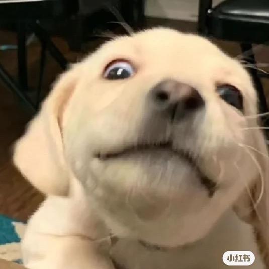 爱king（战锤3）