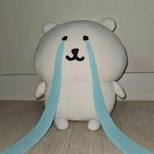 我想我会一直哭