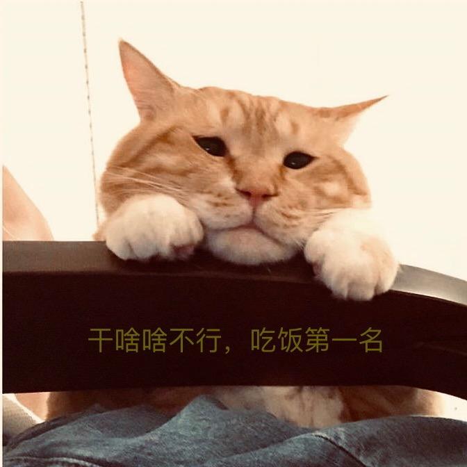 依靠毒鸡汤活着
