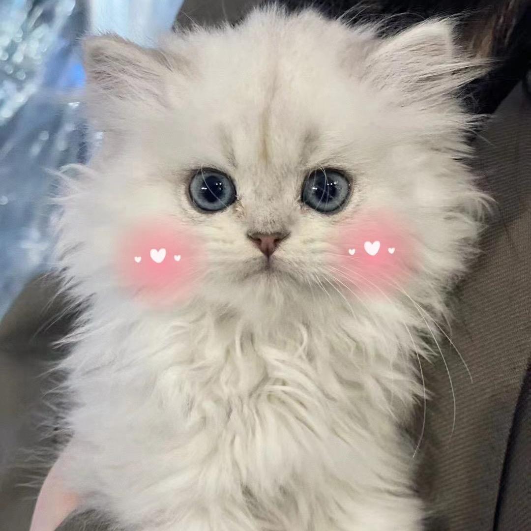 尤妮宝贝