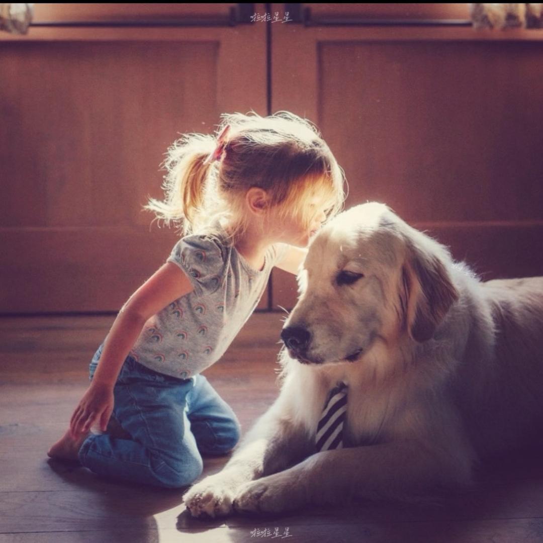 诳风笑三国猛将