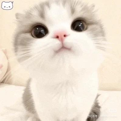 Guyu