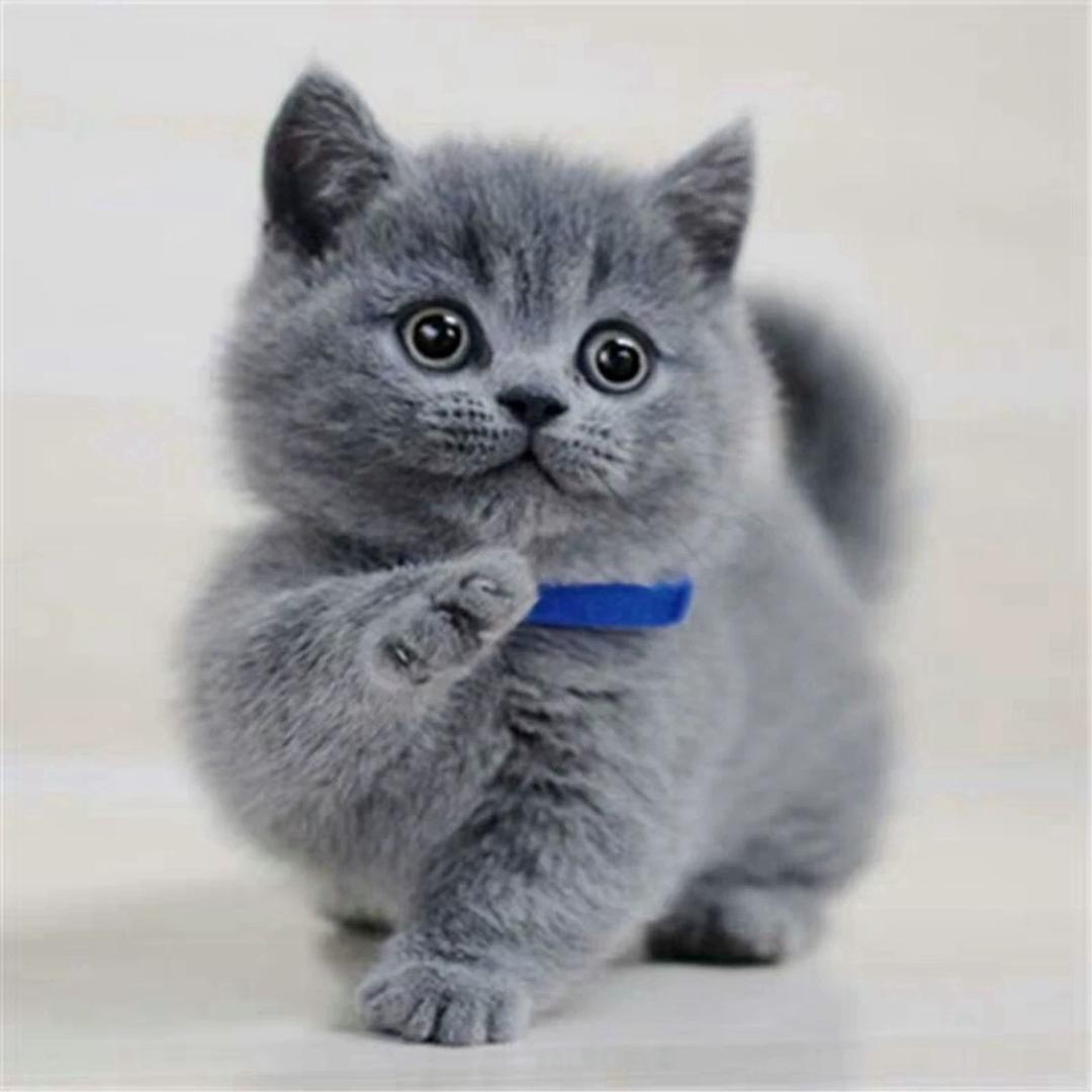 🥰