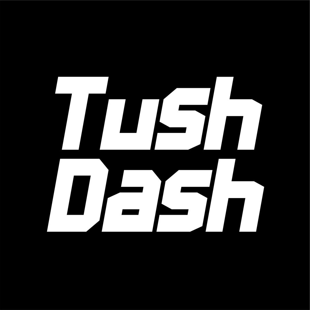 TushDash请坐滑板椅子