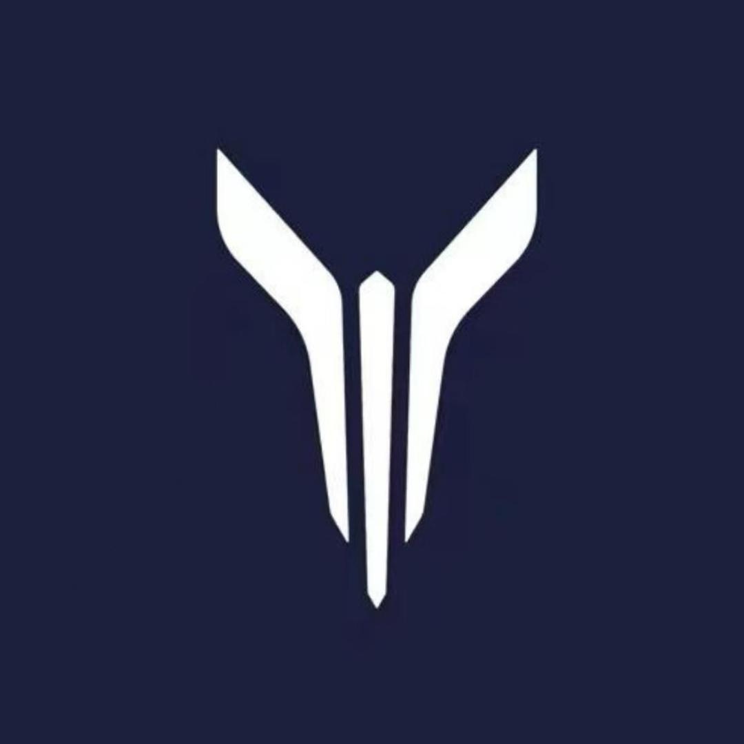 岚图梦想家在华中