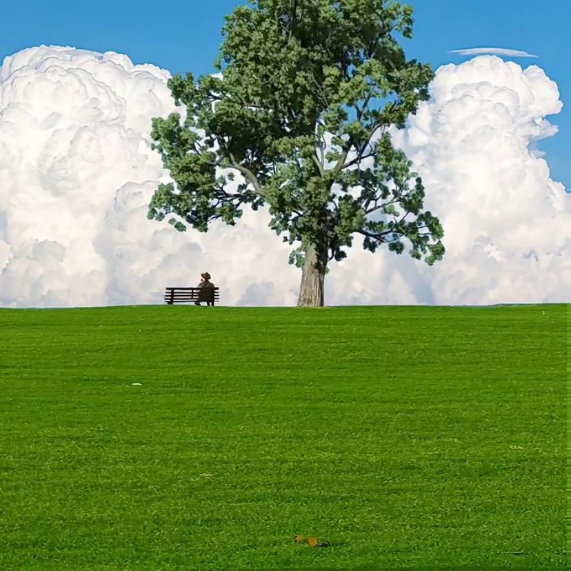 小张崔氏眼镜(市场店)