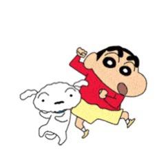 毛毛毛但毛球