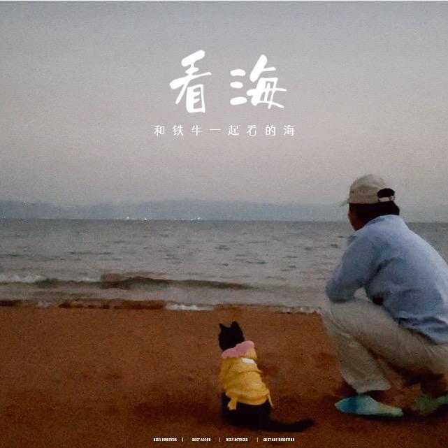 石榴成熟了