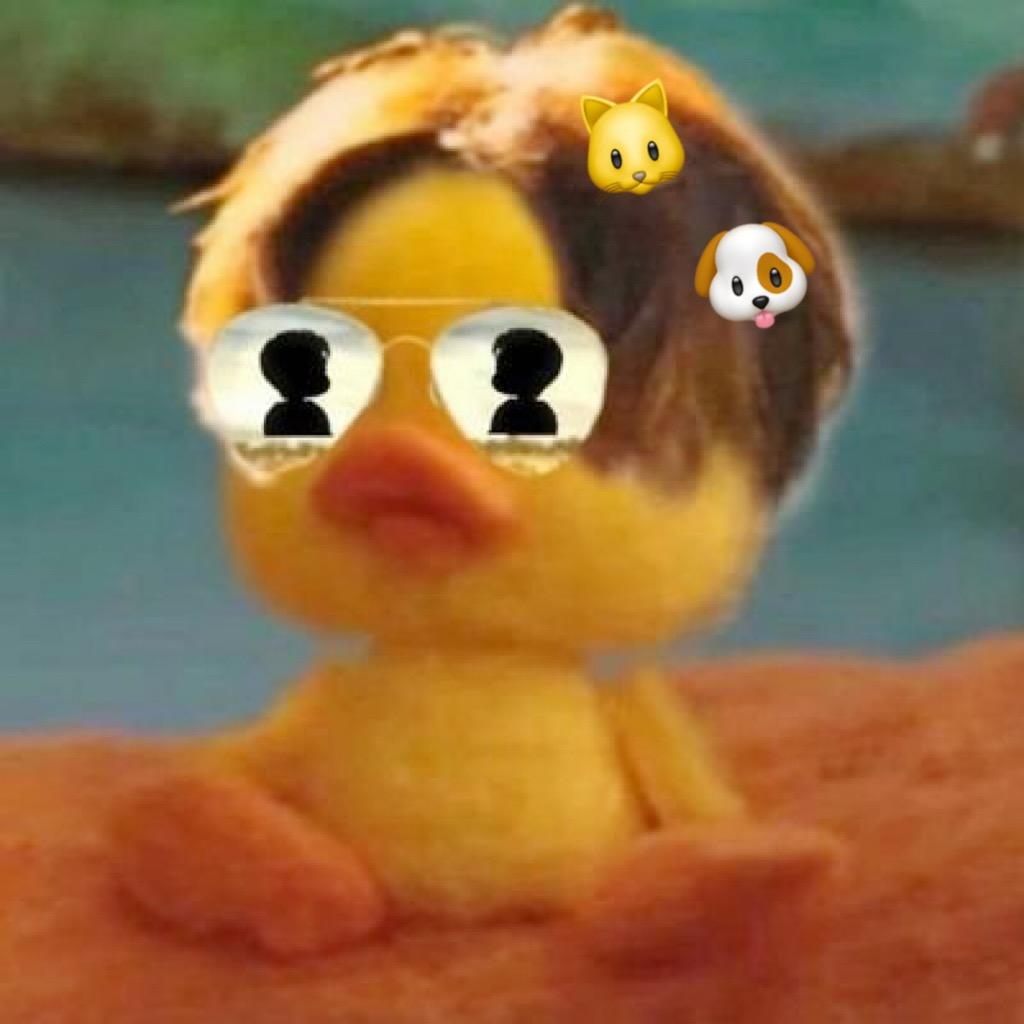 一条小林马