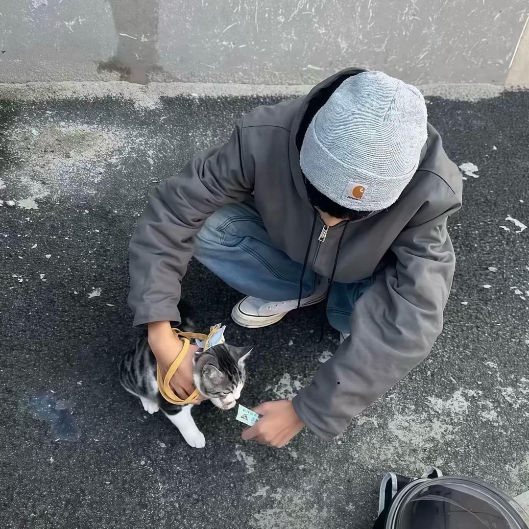 心恨别说违心话