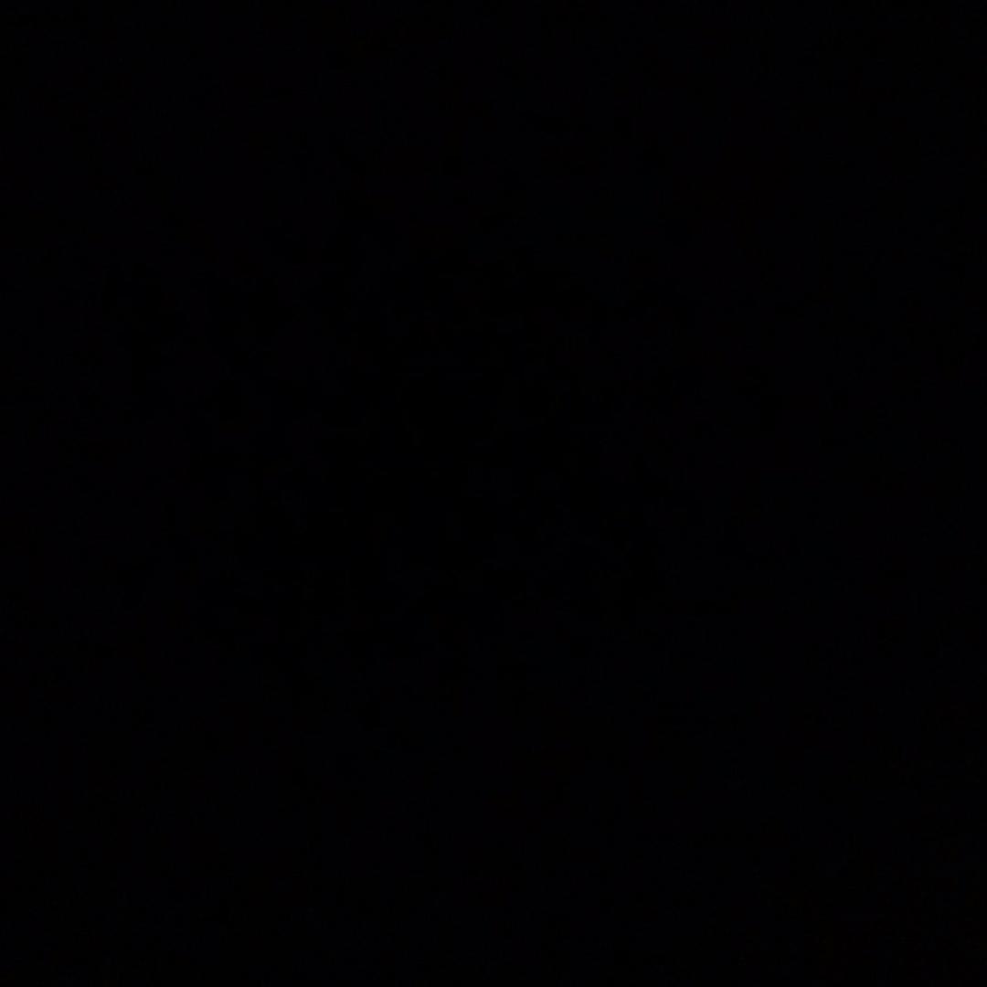 LY•