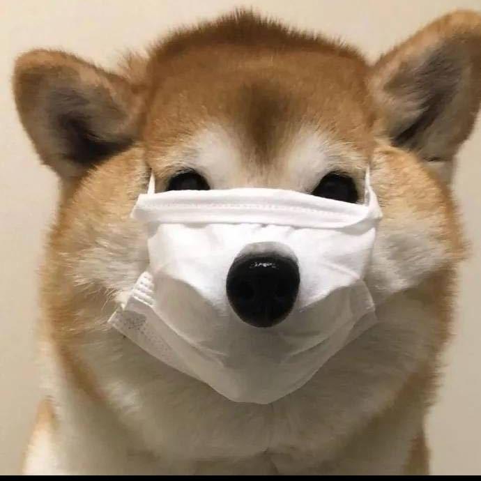 卿木