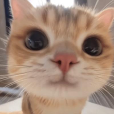 故顾