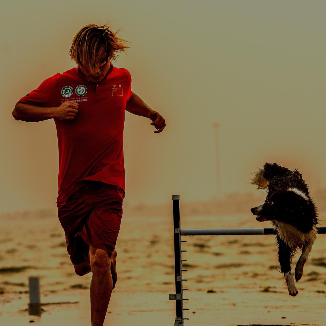 宁蔚—动物行为专家