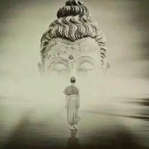 好朋友（仓哥）