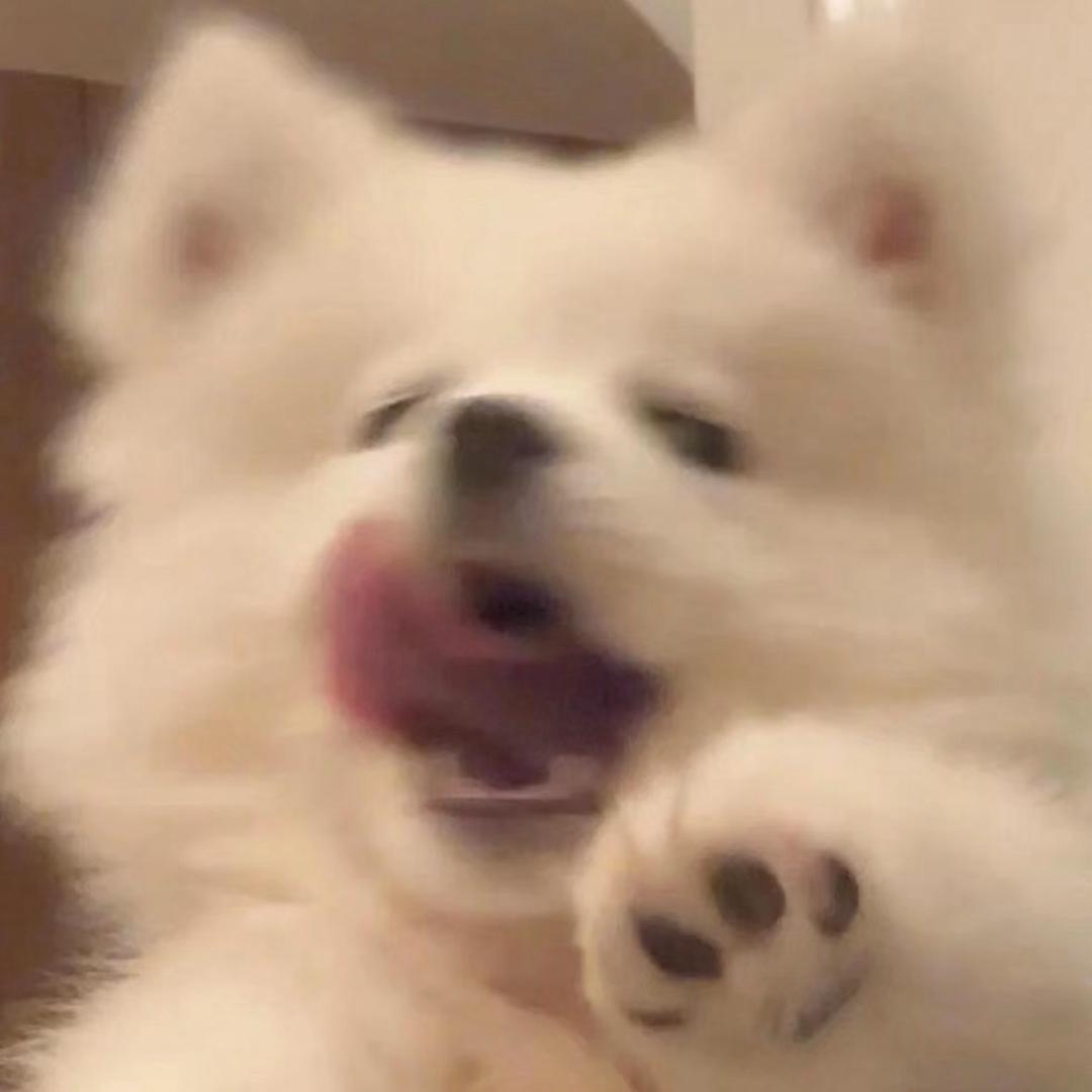 邓西卡k