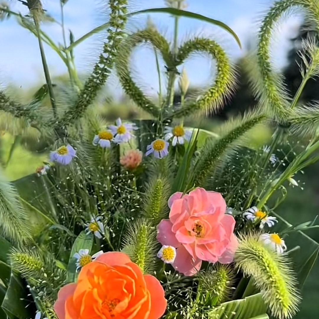 去整点薯条