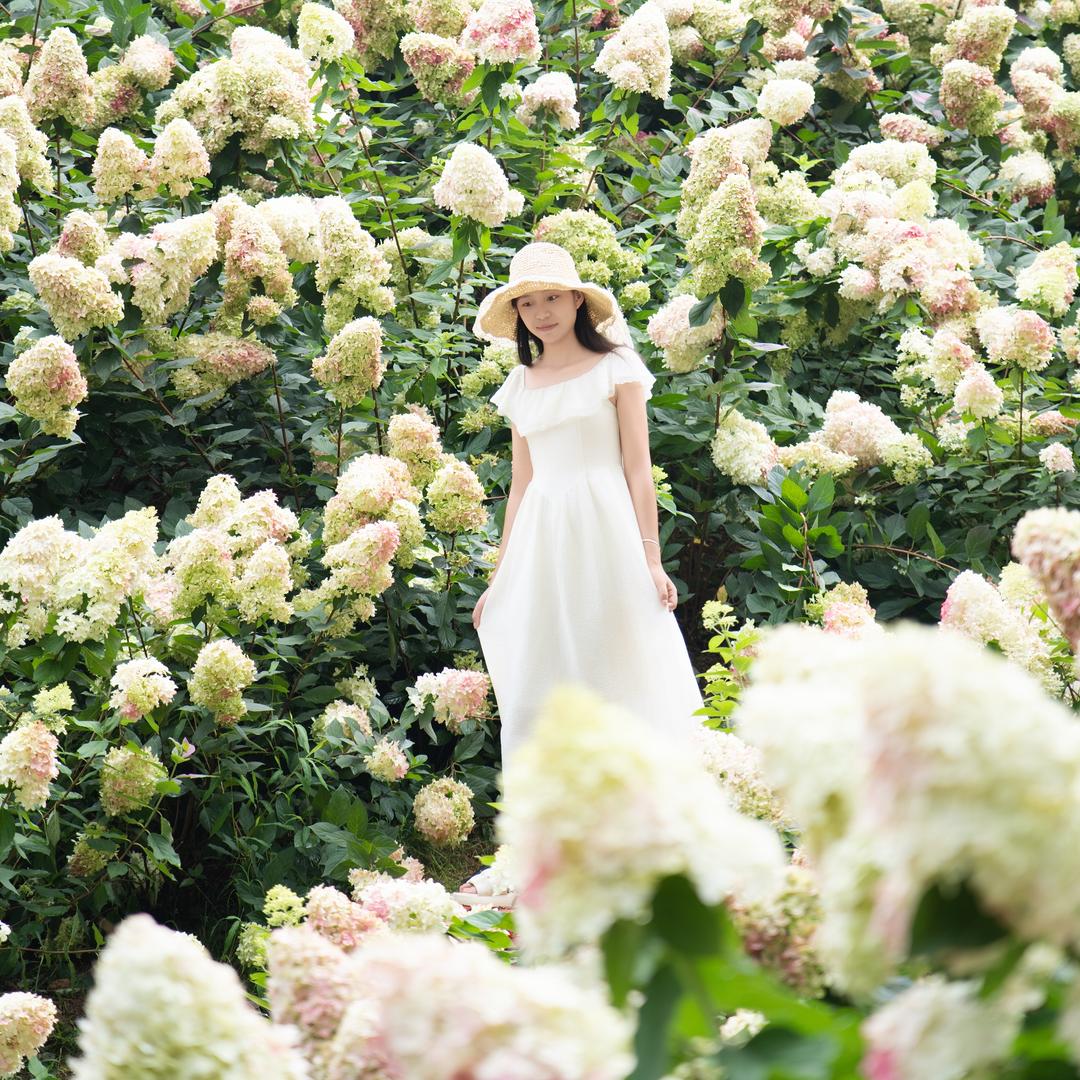 এ᭄²⁰25໑多财多亿ღ᭄