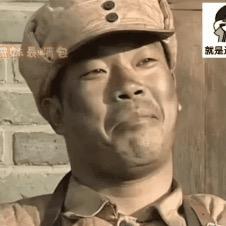 🌈夏威夷小猛兽