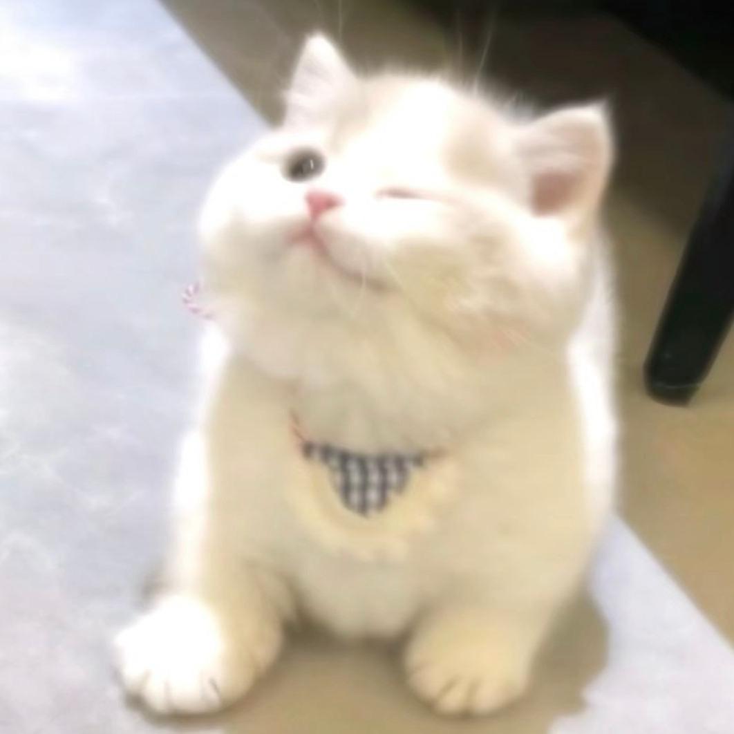 ：）