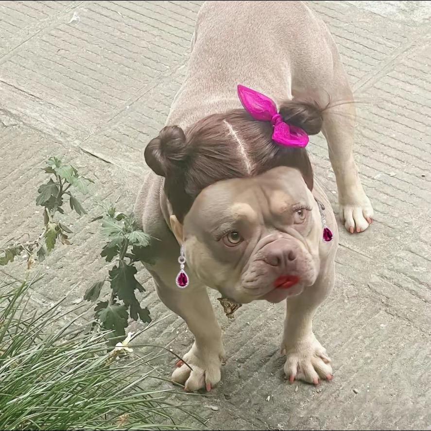 万事顺意身体健康笑口常开好运常驻大美女