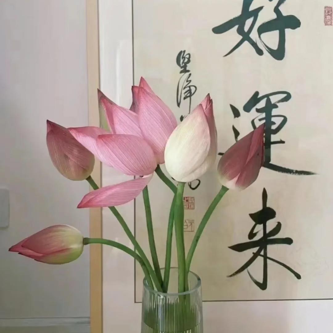 风吟乐阁