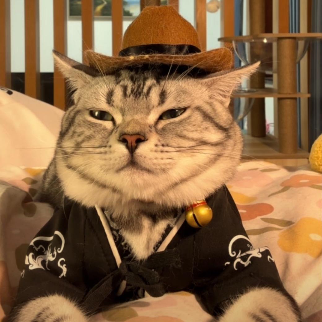 乾哥爱养猫