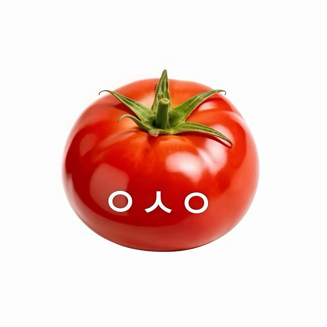 ⁺熟番茄🍅₊⁺