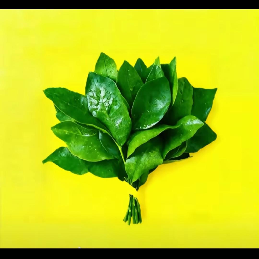 Lʚ♡⃛ɞin˖*杨杨