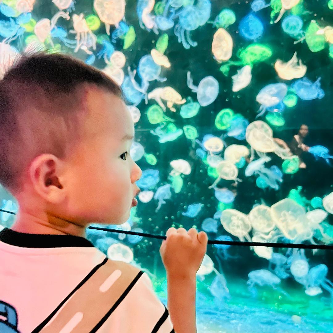 小菲
